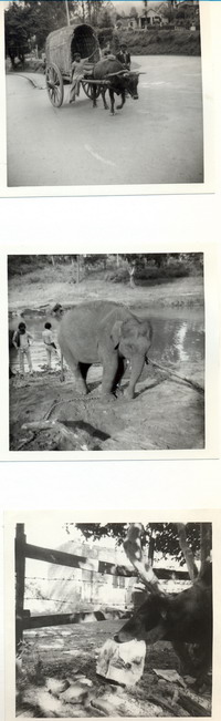 Indien 1979